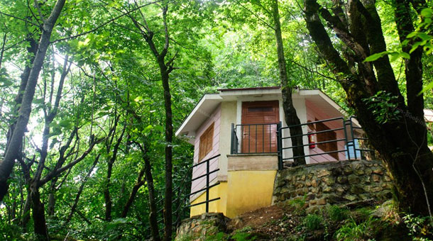 Hoteles Ofertas Dynamic Tours